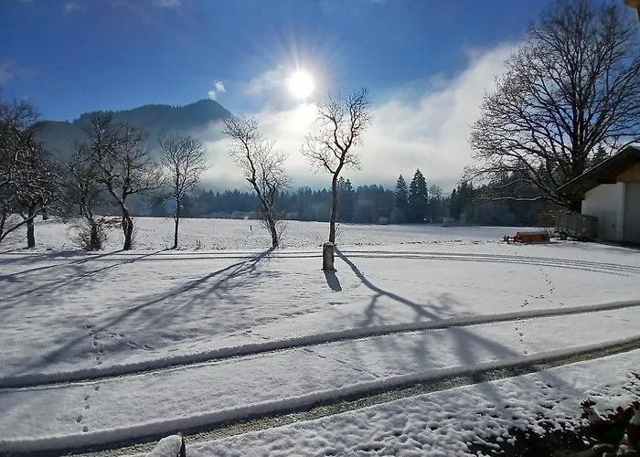 Exklusive 103 Qm Salvenblick, Gratis Skibus Direkt Ab * Söll