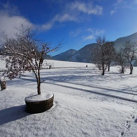 Appartement Exklusive 103 Qm Salvenblick, Gratis Skibus Direkt Ab *