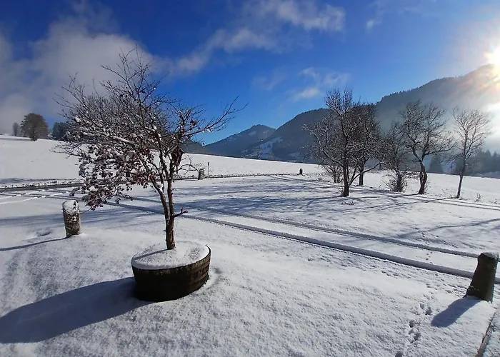 Appartement Exklusive 103 Qm Salvenblick, Gratis Skibus Direkt Ab *